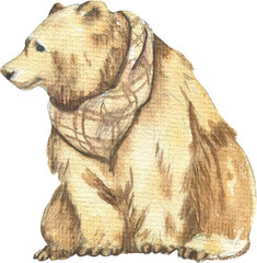 Drawing of a brown bear, drawn in watercolor