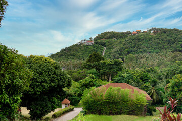 Panorama of beautiful countryside. Sunny afternoon. Koh Samui, Thailand © Studio