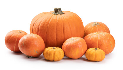 autumn pumpkin isolated on a white background