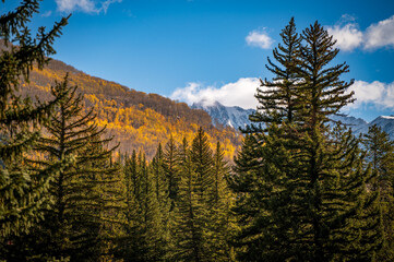 autumn in the mountains
