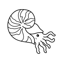 Nautilus. Coloring page, coloring book page. Black and white vector illustration.