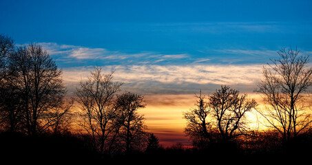 A serene sunrise over a field, with silhouetted trees in the foreground and a sky painted with hues of orange and blue. Silhouettes of trees against the setting sun. Evening landscape.