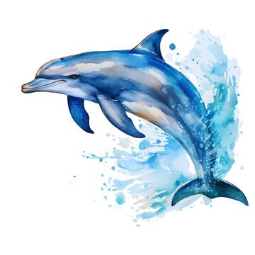 Watercolor painting of dolphin jumping from the sea. Illustration isolated on white background.