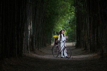 person riding a bicycle. Portrait beautiful woman with Vietnam culture traditional dress, Ao dai and riding bicycle in fields. - obrazy, fototapety, plakaty