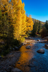 vail river in autumn