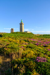 Fototapeta na wymiar fields of heather and broom in front of the lighthouse at Cap Fréhel, a peninsula in Côtes-d'Armor, in northern Brittany, France