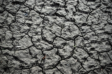 background of cracked black earth, dirt