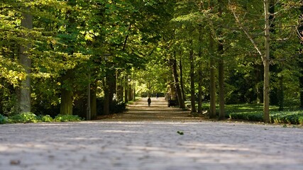 Ścieżka w parku miejskim w słoneczny jesienny dzień