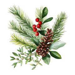 Coniferous watercolor twig with pine cone and red berry on white backdrop. Winter holiday celebration
