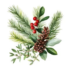 Foto auf Alu-Dibond Coniferous watercolor twig with pine cone and red berry on white backdrop. Winter holiday celebration © Cherstva