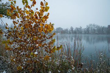 autumn leaves on the lake