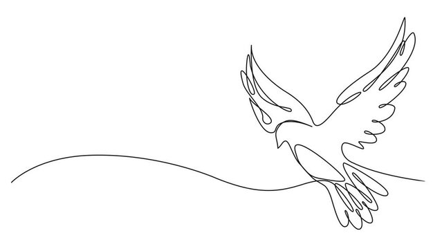 animated continuous single line drawing of a dove, line art animation