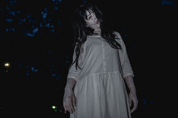 Portrait of asian woman make up ghost face with blood,Horror scene,Scary background,Halloween poster,Thailand people