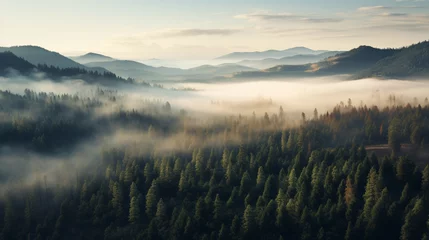 Fotobehang fogged Pine forests, bird eye view. Generative AI © Fuji