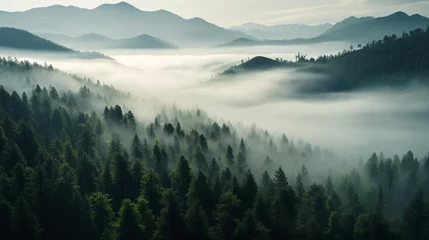 Foto op Aluminium fogged Pine forests, bird eye view. Generative AI © Fuji