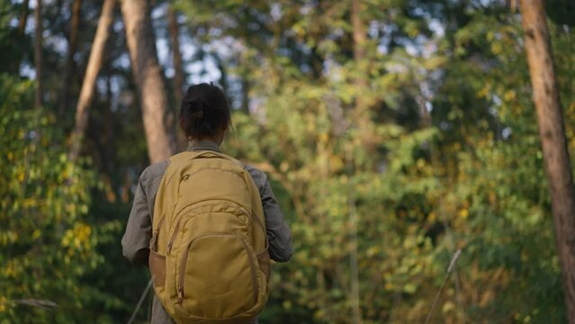 slow motion footage woman with yellow backpack Walks by trail in autumn forest. female hiker with backpack going up through wood with high grass. selective focus. traveling in Ukraine