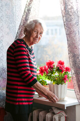 Smiling old woman near the window. Happy senior woman sitting near window with flowers.