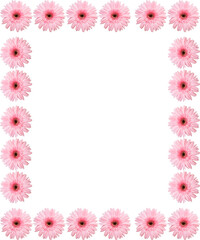 Pink flower border