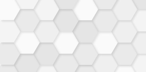 Luxury white and grey hexagonal abstract background with shadow. Futuristic technology digital hi tech concept background Abstract hexagonal concept technology, banner and wallpaper background. - obrazy, fototapety, plakaty
