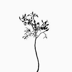 silhouette of a tree isolated on white background, abstract tree with unshaped branches, 