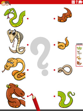 match halves of pictures with snakes educational activity