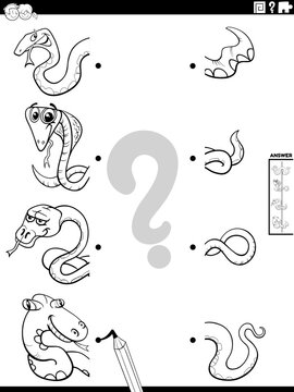 match halves of snakes pictures activity coloring page