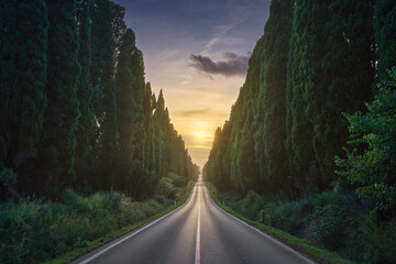 The cypress tree-lined avenue of Bolgheri and the sun in the middle. Maremma, Tuscany, Italy - 671197411