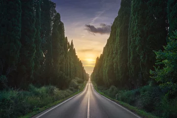 Fotobehang The cypress tree-lined avenue of Bolgheri and the sun in the middle. Maremma, Tuscany, Italy © stevanzz