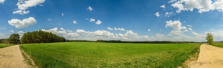 panorama of country side with dirt road, field, forest