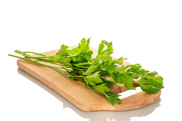 One sprig of green parsley on a wooden kitchen board, macro, isolated on white background.