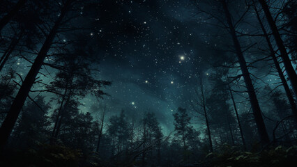 viewed from below a forest at night