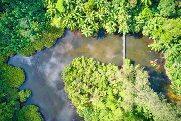 Drone bird eye view at Anse solei beach, bridge over river within forest Mahe Seychelles 2