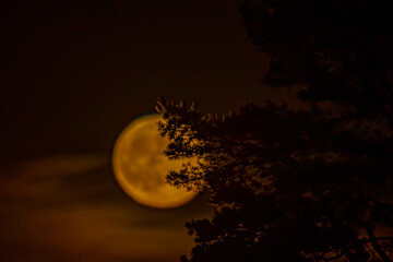 Vollmond