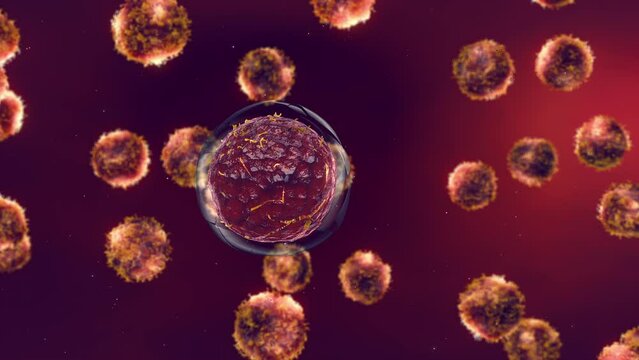 Normal cell mutating into malignant cancer cell (Carcinogenesis). Cancer metastasis is the spread of malignant cells to distant organs and tissues	