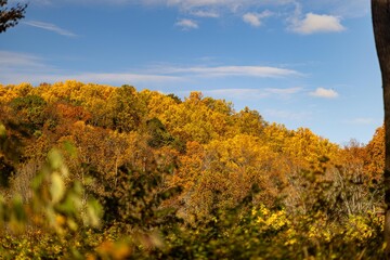 Naklejka premium Fall day at the park