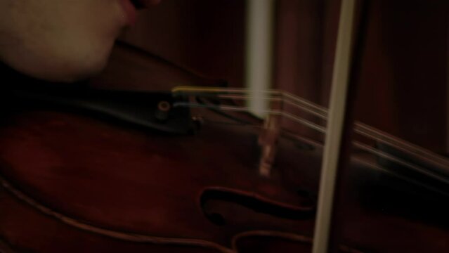 Young Man Playing Violin. Close Up. 