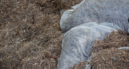 Heap of compost fertilizers from mushrooms.