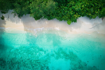 Drone bird eye view at Anse solei beach, white sandy beach, turquoise and calm sea and trees, Mahe...
