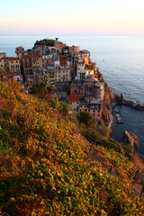 The village of Manarola under steep vineyards seen from above on a late October afternoon (Cinque Terre, Liguria, Italy)