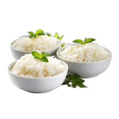 Rice dishes isolated on transparent or white background, png