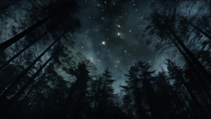 Fototapeta premium viewed from below a forest at night