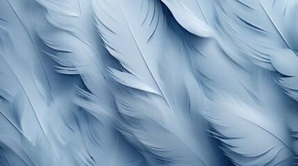 background of feathers close up.