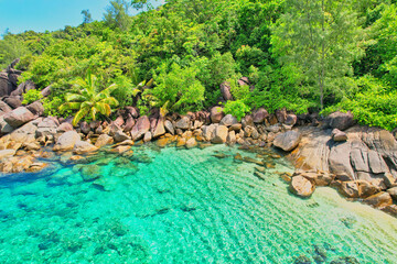 Naklejka premium Drone shot of Anse Major beach, transparent sea, lush forest and granite stones, Mahe, Seychelles 1