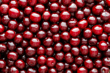 Ripe red cherries, closeup, top view. Vegetarian meal, healthy and useful. Background and texture of fresh cherry