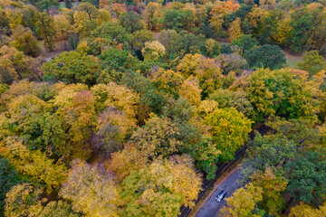 Aerial drone view on a park and a road