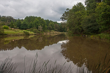 Obraz premium Trout Dam 14320