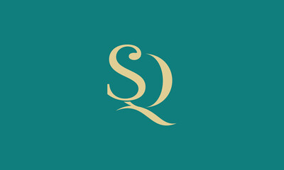Initial letter SQ QS monogram icon logo