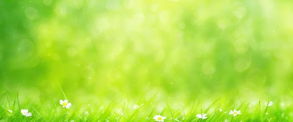 Foto op Plexiglas eine wunderschöne grüne Wiese - ideal für Osterkarten und mehr © Random_Mentalist