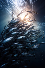 A swarm of fish swimming, focus on the formation. Vertical photo