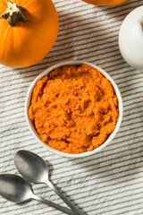 Organic Raw Orange Pumpkin Puree